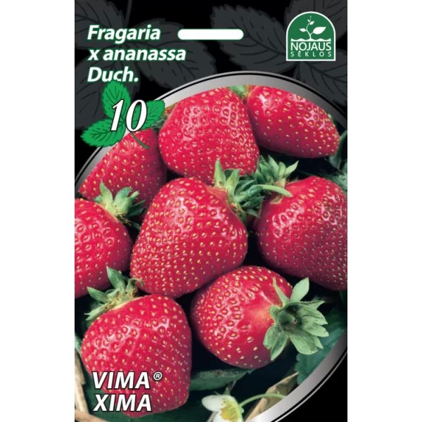 Braškės Vima® Xima 10vnt