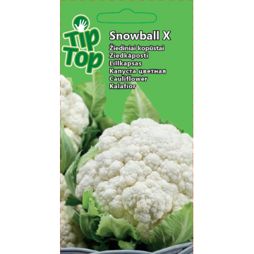 Lillkapsas Snowball X