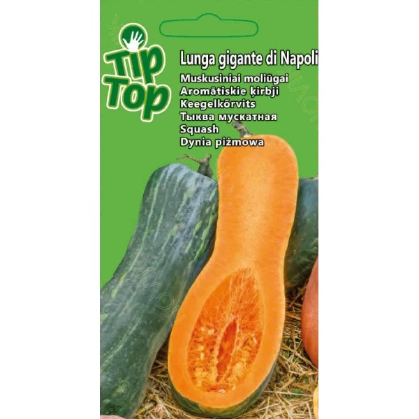 Moliūgai muskusiniai Lunga gigante di Napoli 9523