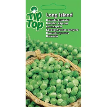 Kopūstai briuselio Long Island