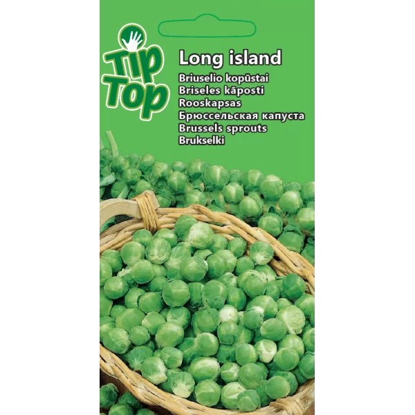 Kopūstai briuselio Long Island