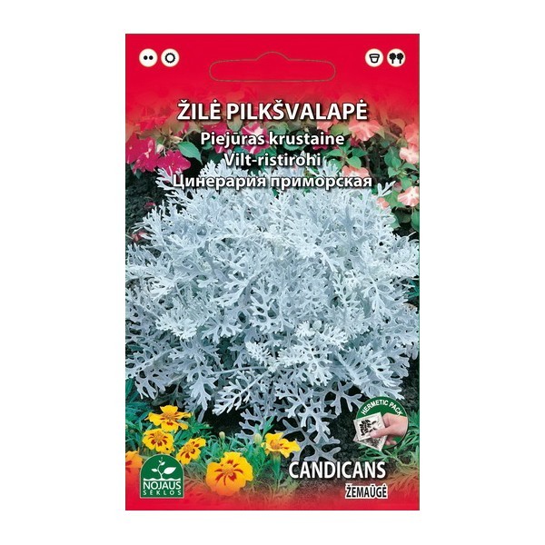 Žilė pajūrinė 0.2g 1795
