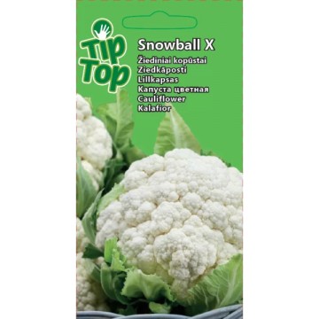 Kopūstai žiediniai Snowball...