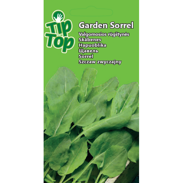 Rūgštynės valgomosios Garden Sorrel 5174