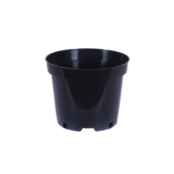 Vasi 1l D-13 must