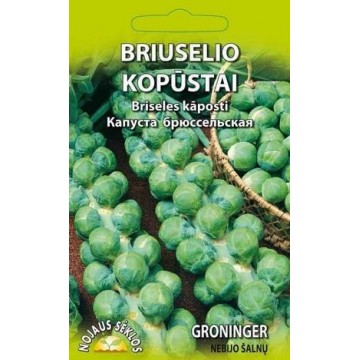 ROOSKAPSAS GRONINGER 1G