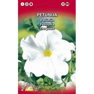 PETUNIJA