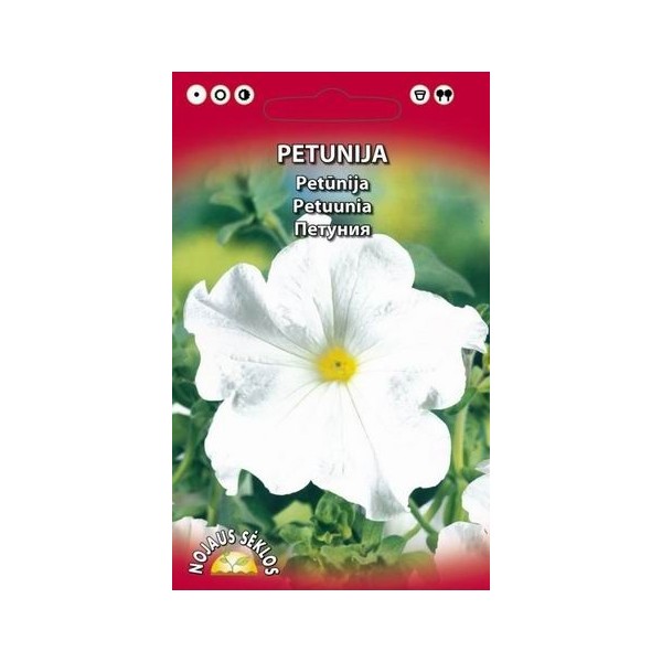 Petuunia white