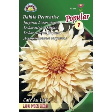 Daaliad CAFE AU LAIT 1tk.