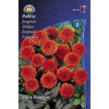 Daaliad ELLEN HOUSTON 1tk.