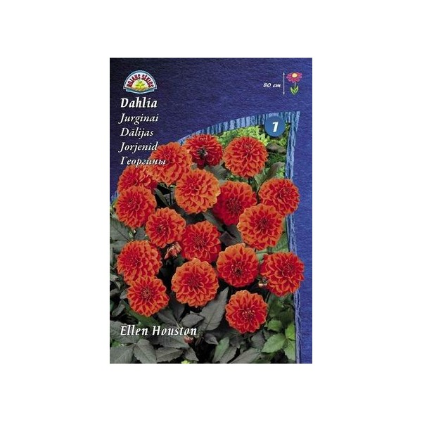 Daaliad ELLEN HOUSTON