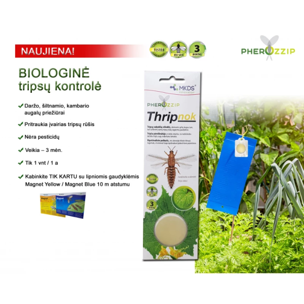 Thripnok Thrips putukate peibutusvahend , 1 tk