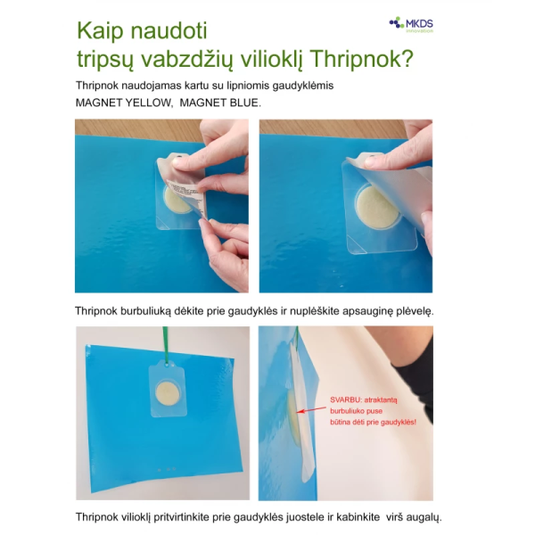 Thripnok Thrips putukate peibutusvahend , 1 tk