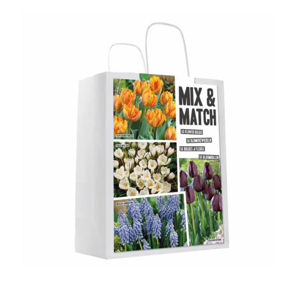 Gėlių svogūnėlių rinkinys oranzinis/juodas 50 vnt.
