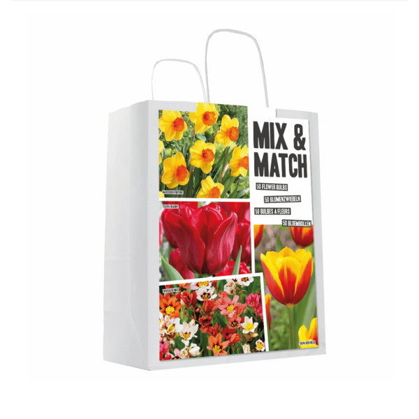 Lillesibulate komplekt punane/kollane 50 tk.