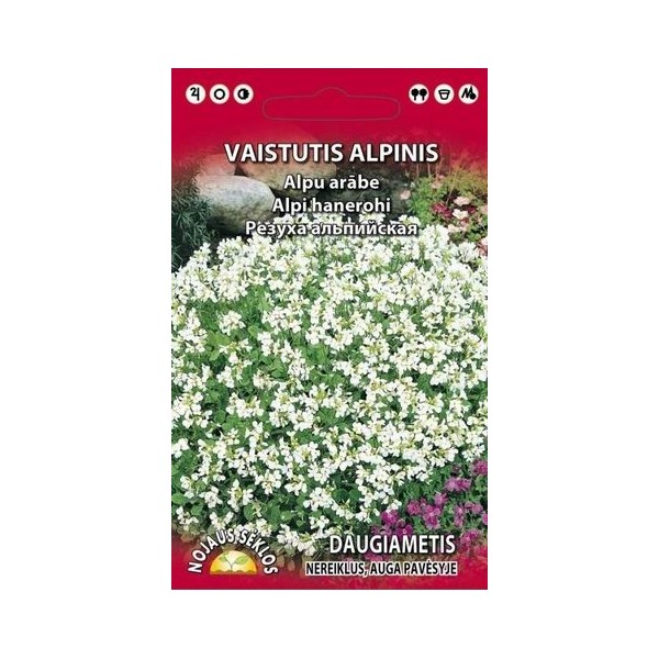 VAISTUTIS ALPINIS DAUGIAMETIS