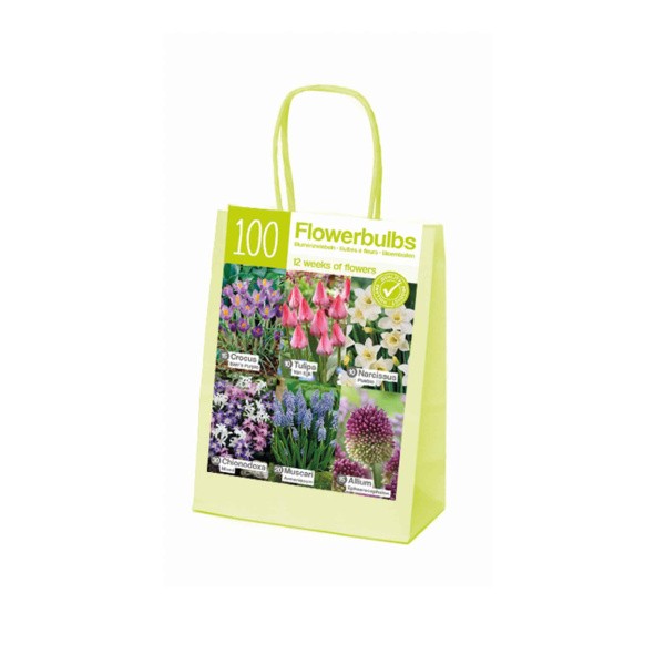 Lillesibulate komplekt punane/valge/sinine XL 100 tk.