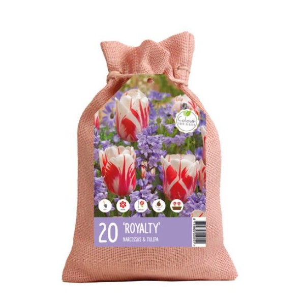 Gėlių svogūnėlių rinkinys karališkas 20 sv.