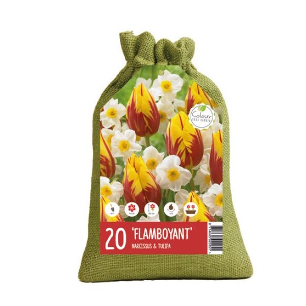 Lillepirnide komplekt Heledus 20 vol.