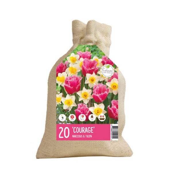 Lillesibulate komplekt Courage 20 tk.