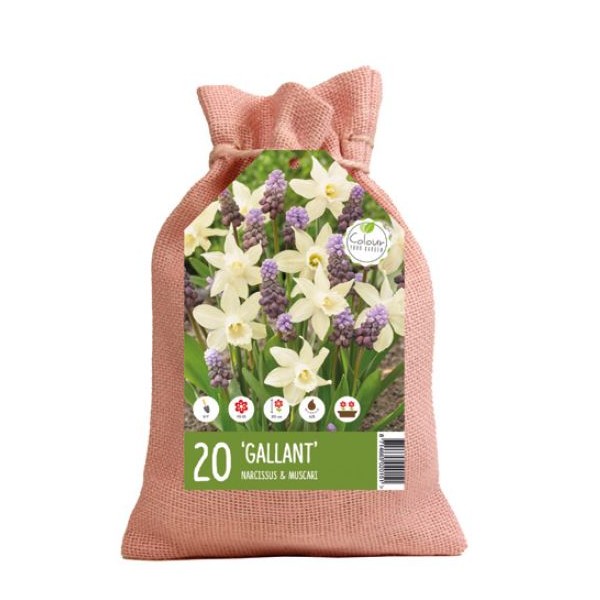 Gėlių svogūnėlių rinkinys galantiškas 20 sv.