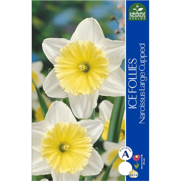 Nartsissid ICE FOLLIES 12/14 4tk