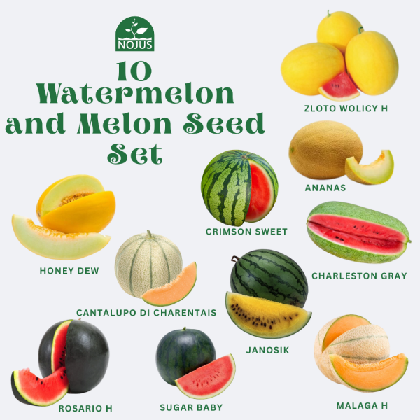 Arbuusi- ja meloniseemnete komplekt 10 tk.