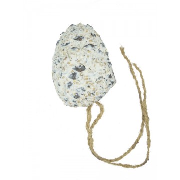 GARDEN & FUN metsikute...