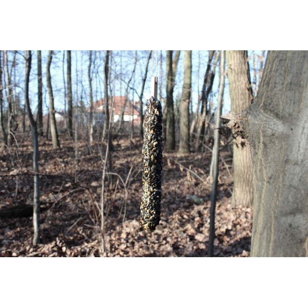 GARDEN & FUN maius metslindudele, päevalilleseemned, 1 tk