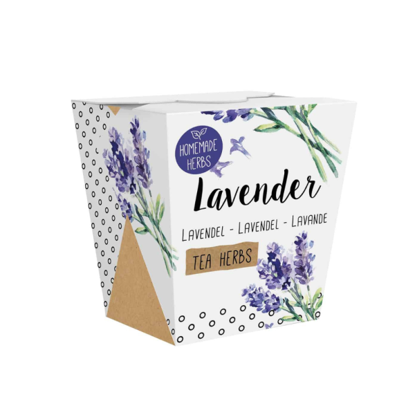 Lavendli kasvatamise komplekt