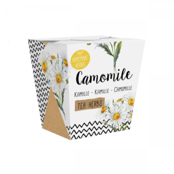 Kummeli kasvatamise komplekt