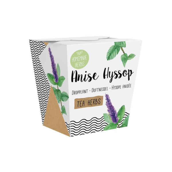 Anyžinio izopo auginimo rinkinys