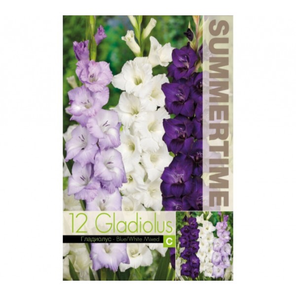 Kardelių mišinys mėlynas/baltas 5 sv.