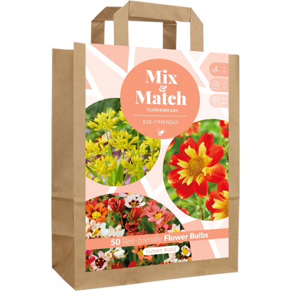 Lillesibulate komplekt ‘Sunny Buzz’ 50 tk