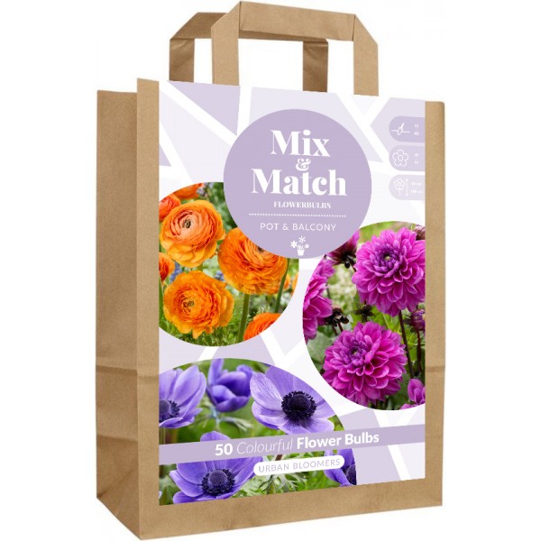 Lillesibulate komplekt ‘Urban Bloomers’ 50 tk