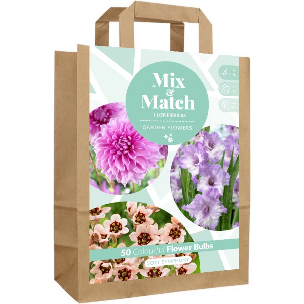 Lillesibulate komplekt ‘Soft Symphony’ 50 tk