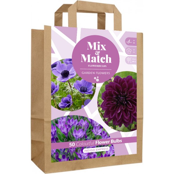 Lillesibulate komplekt ‘Indigo Empress’ 50 tk