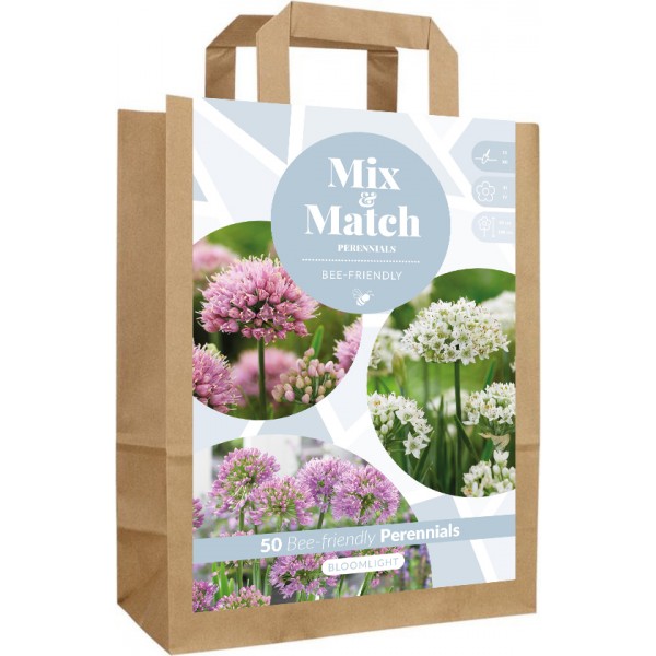 Lillesibulate komplekt ‘Bloomlight’ 50 tk