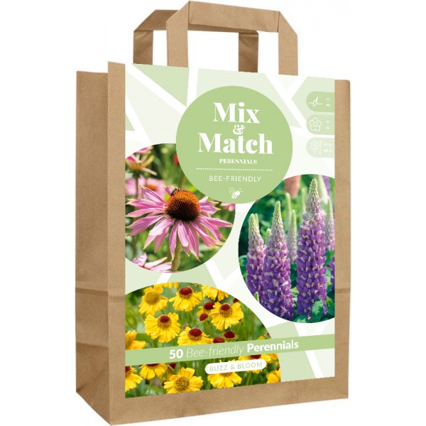 Lillesibulate komplekt ‘Buzz & Bloom’ 50 tk