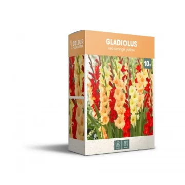 Gladioolide segu...