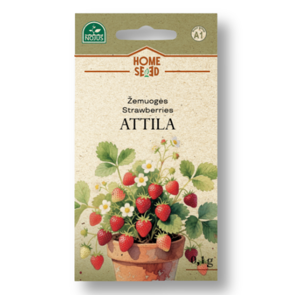 Maasikad Attila 0,1 g