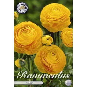 Vėdrynai YELLOW 10 sv.