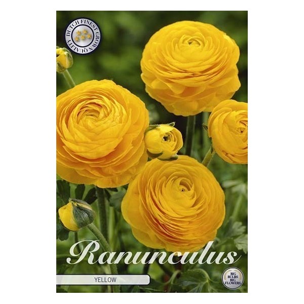 Vėdrynai YELLOW 10 sv.