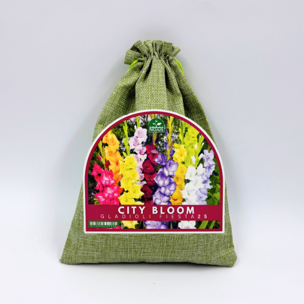 Gladioolisibulate komplekt „City Bloom Gladioli Fiesta“ 25 tk