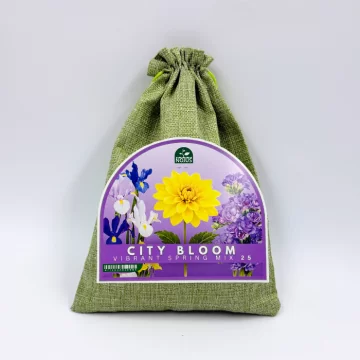 Lillesibulate komplekt...