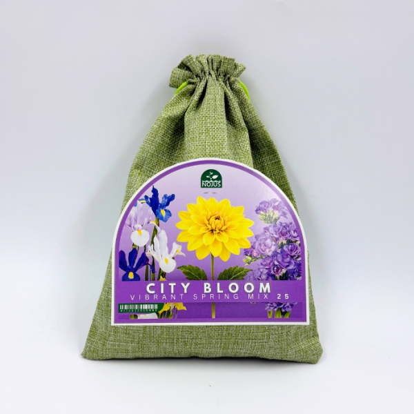 Lillesibulate komplekt „City Bloom Vibrant Spring Mix“ 25 tk