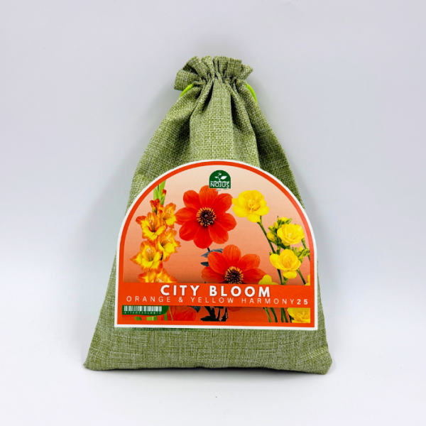 Lillesibulate komplekt „City Bloom Orange & Yellow Harmony“ 25 tk