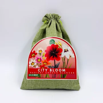 Miesto žiedai sodrus...