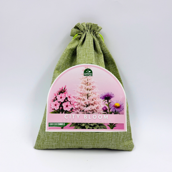 Lillede juurekogum „City Bloom Soft Pastel Mix“ 3 tk