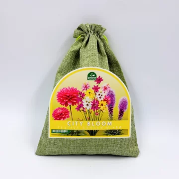 Lillesibulate komplekt...